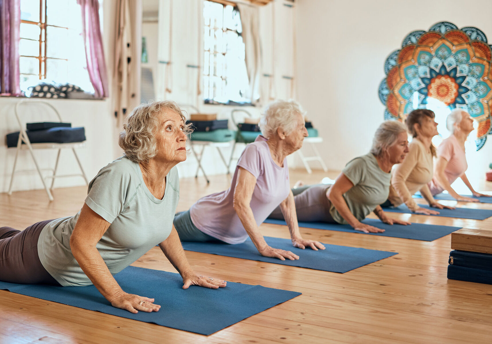 yoga-exercise-elderly-women-stretching-balance-peace-wellness-zen-studio-meditation-calm-group-senior-friends-doing-pilates-workout-mind-body-health-chakra-class-narberth Yoga